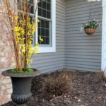 Curb appeal done easy